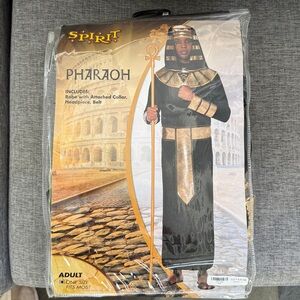 Spirit Pharaoh Costume with Gold and Black Accents